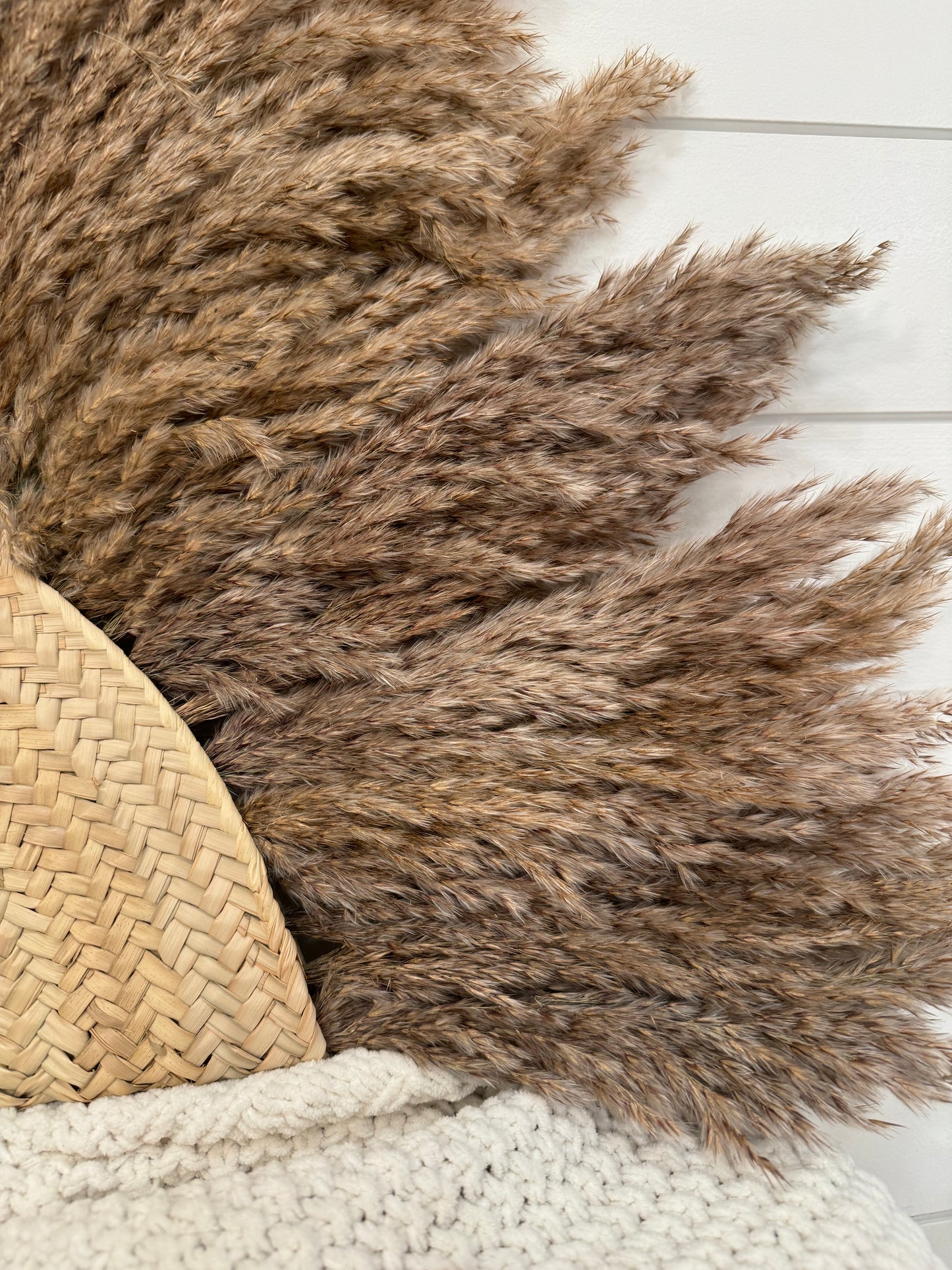 1/2 eclipse rattan feathered wall hanging